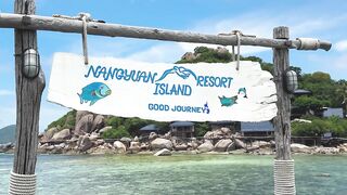 Ко Тао, цены и снорклинг, рыбалка на Сайри и как добраться