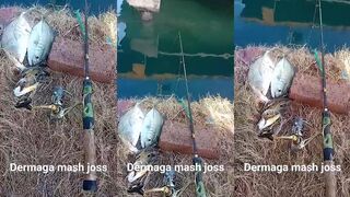 Pelabuhan Benoa Бали причал и утро рыбалка у лодок и на волнорезе