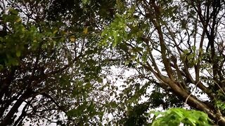 Benoa Harbour Бали туна на причале кто как ловит и когда идёт ход