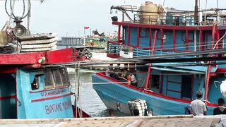 Benoa Harbour Бали туна на причале кто как ловит и когда идёт ход
