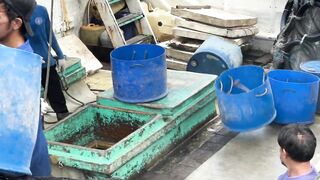 Benoa Harbour Бали туна на причале кто как ловит и когда идёт ход