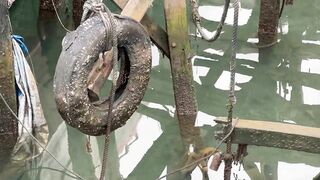 Benoa Harbour Бали туна на причале кто как ловит и когда идёт ход