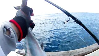 GT-поппинг в Tanjung Benoa: морская рыбалка на Saragosa и BG