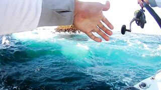 GT-поппинг в Tanjung Benoa: морская рыбалка на Saragosa и BG