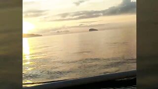 Парус и спиннинг в Candidasa: рыбалка между лавировками