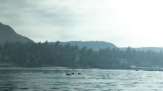 Парус и спиннинг в Candidasa: рыбалка между лавировками