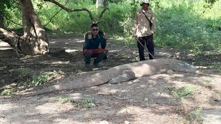 Комодо и Labuan Bajo где посмотреть и где рыбалка возле рифов