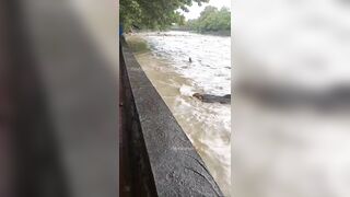 Хоста - река поднялась сильно, заметка