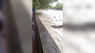 Хоста - река поднялась сильно, заметка