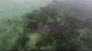 Манта и подводная охота у Labuan Bajo: где рыбалка безопасна