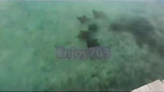 Манта и подводная охота у Labuan Bajo: где рыбалка безопасна