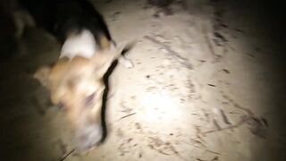 Palawan San Vicente — рыбалка на ПВХ в шторм: когда лучше уходить на берег