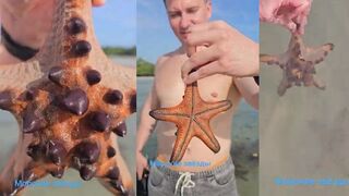 Палаван морские звезды на отмели и есть ли рядом места для рыбалка