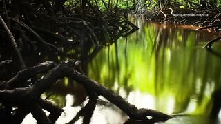 Palawan, Philippines где морская рыбалка на пляжах хуже, чем у рифов?
