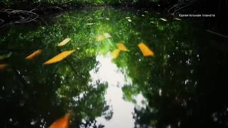 Palawan, Philippines где морская рыбалка на пляжах хуже, чем у рифов?