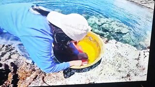 Палаван: морская рыбалка на рифах и у пляжей что клюёт?