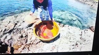 Палаван: морская рыбалка на рифах и у пляжей что клюёт?