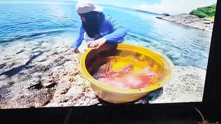 Палаван: морская рыбалка на рифах и у пляжей что клюёт?