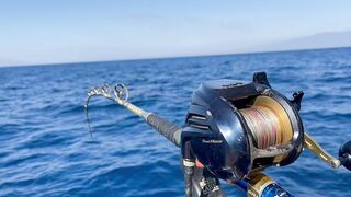 Subic Bay - морская рыбалка в заливе у пирсов и ранний клёв на рассвете