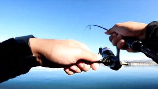 Micro-джиг в Malawaan Park — рыбалка на мягкие приманки работает?