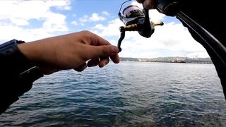 Micro-джиг в Malawaan Park — рыбалка на мягкие приманки работает?