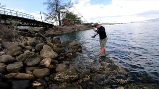 Micro-джиг в Malawaan Park — рыбалка на мягкие приманки работает?