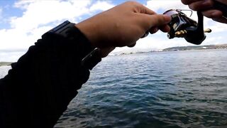 Micro-джиг в Malawaan Park — рыбалка на мягкие приманки работает?