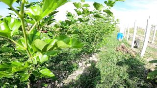 Micro-джиг в Malawaan Park — рыбалка на мягкие приманки работает?