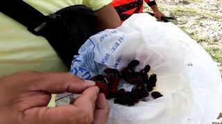 Micro-джиг в Malawaan Park — рыбалка на мягкие приманки работает?