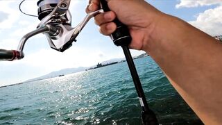 Micro-джиг в Malawaan Park — рыбалка на мягкие приманки работает?