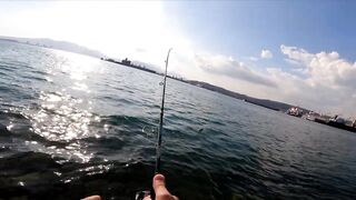 Micro-джиг в Malawaan Park — рыбалка на мягкие приманки работает?