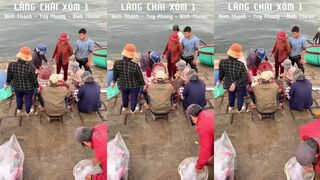 Làng chài Bình Thạnh — морская рыбалка на рынке и пирсе Туй Фонг