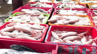 Phan Thiết опт: морская рыбалка на рассветном торге у Chợ Cá