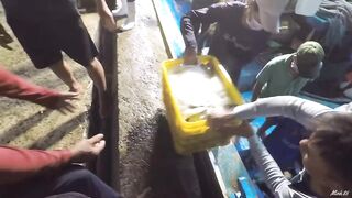 Phan Thiết опт: морская рыбалка на рассветном торге у Chợ Cá