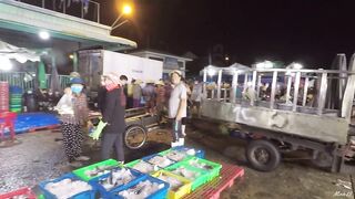Phan Thiết опт: морская рыбалка на рассветном торге у Chợ Cá