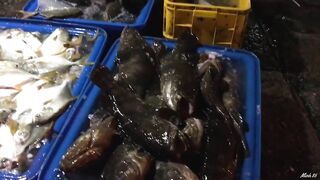 Phan Thiết опт: морская рыбалка на рассветном торге у Chợ Cá