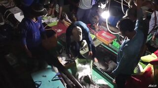 Phan Thiết опт: морская рыбалка на рассветном торге у Chợ Cá