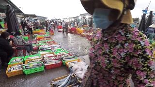 Phan Thiết опт: морская рыбалка на рассветном торге у Chợ Cá