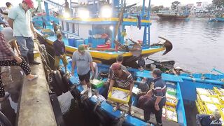 Phan Thiết опт: морская рыбалка на рассветном торге у Chợ Cá