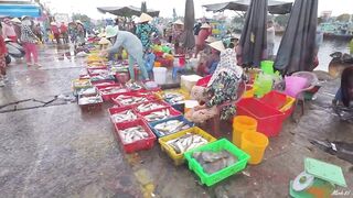 Phan Thiết опт: морская рыбалка на рассветном торге у Chợ Cá