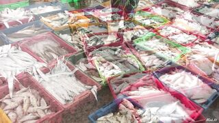 Phan Thiết опт: морская рыбалка на рассветном торге у Chợ Cá