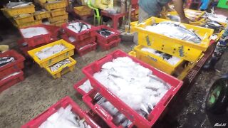 Phan Thiết опт: морская рыбалка на рассветном торге у Chợ Cá