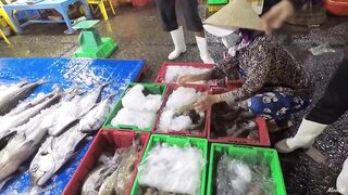 Phan Thiết опт: морская рыбалка на рассветном торге у Chợ Cá