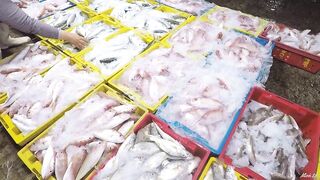Phan Thiết опт: морская рыбалка на рассветном торге у Chợ Cá