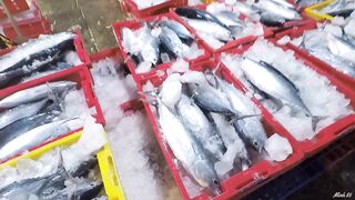 Phan Thiết опт: морская рыбалка на рассветном торге у Chợ Cá