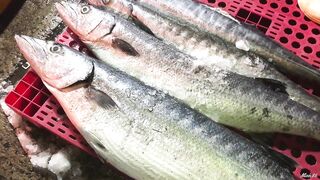 Phan Thiết опт: морская рыбалка на рассветном торге у Chợ Cá