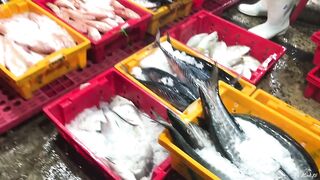 Phan Thiết опт: морская рыбалка на рассветном торге у Chợ Cá