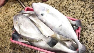 Phan Thiết опт: морская рыбалка на рассветном торге у Chợ Cá