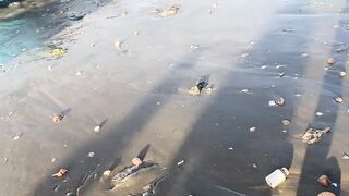 Рыбацкая деревня Mui Ne Phan Thiet улов на причале и запах моря