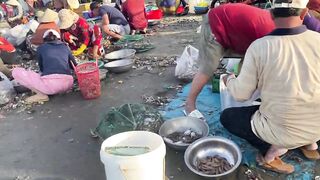 Рыбацкая деревня Mui Ne Phan Thiet улов на причале и запах моря